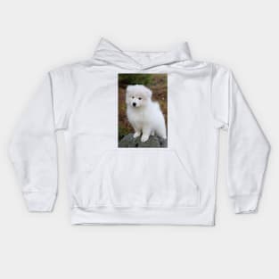 Cute samoyed dog puppy in the forest Kids Hoodie